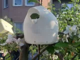 Balloon Birdhouse-5