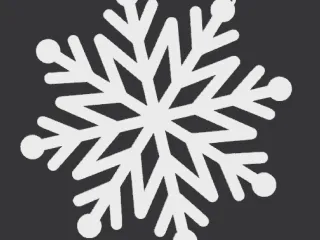 White Snow Flake