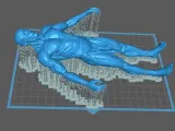 Erkek vücut anatomisi-1