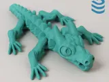 Dragon Flexi-1