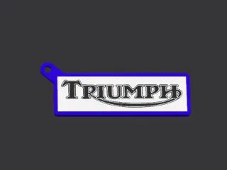 Triumph Keychain