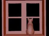 Cat in the Window -0