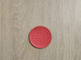 Watermelon Coaster-1