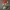 2 – Christmas Number Two in Santa's Hat Figurine