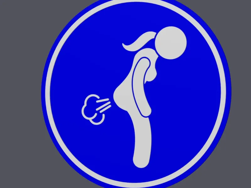 Fart Allowed Female Version - Traffic Sign - Wall Art