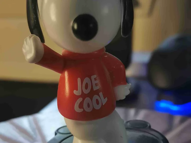 snoopy joe cool