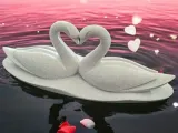 Swan Love-0