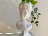 THE GREEN DUTCHESS PLANTER-1