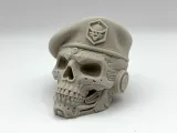 Cyber Beret-2