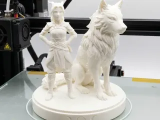 Rayla and the Moonshadow Wolf