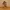 Young Hanuman 3D Model – Cute Baby Hanuman Idol