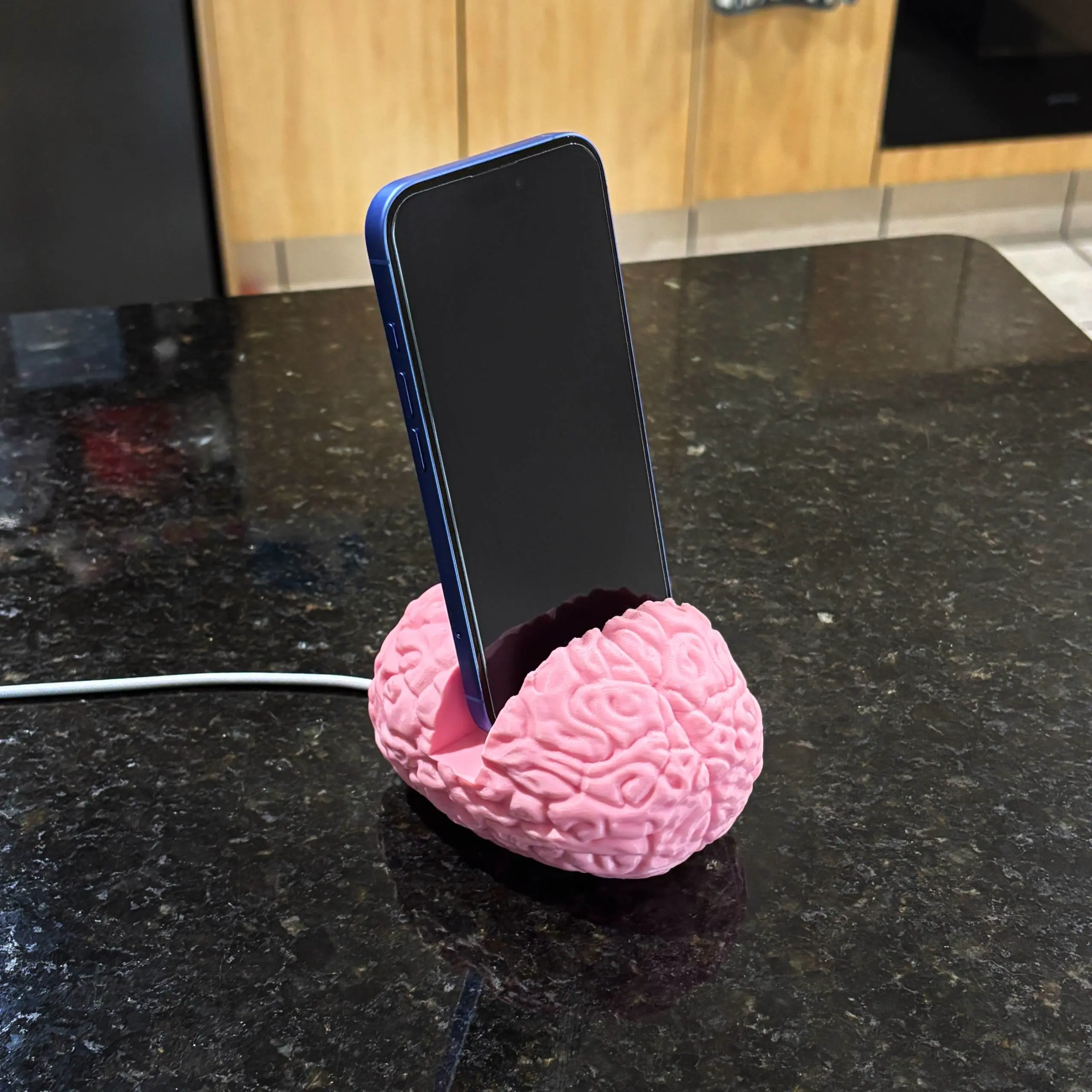 Brain phone stand