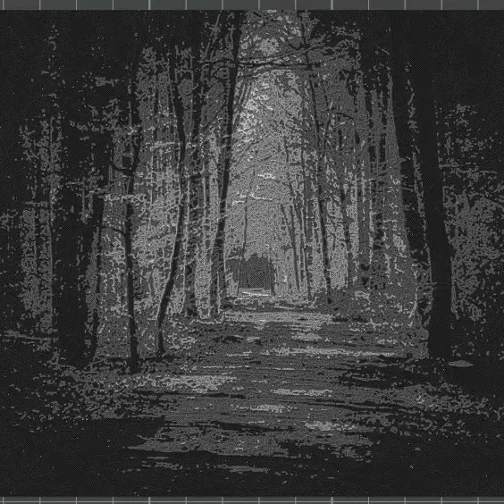 Dark Forest 3D-Picture - Print Your Photo. Slicer Preview