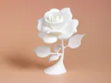 Rose-3