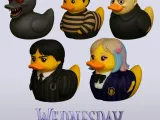 Pack Wednesday Duck-0