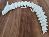 CUSTOMIZABLE SKELATON DRAGON-4
