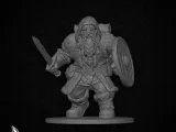 Sword And Shield Dwarf for DnD - Magic Series-3