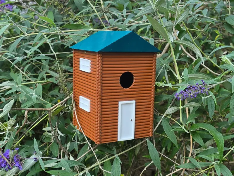 Casetta per uccelli Chickadee