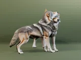 Embracing Wolf Couple Figurine 3D Model-1