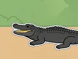 Crocodile Keychain-1