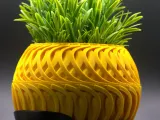 WIND Planter-5