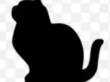 2D to 3D Animal Series1(2D轉3D動物系列1)-2