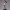 Velvet Back Glance – Ecchi Noir Seduction