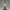 NSFW - BAD GIRL ANIME