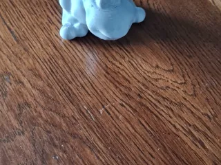 cute frog