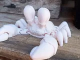 crab-3