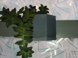 window pot or planter -3