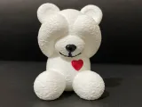 SHY TEDDY-1