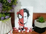 Recuadro de Spiderman de Andrew-3