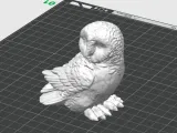 Owl and eagle owl-3