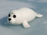 seal-0