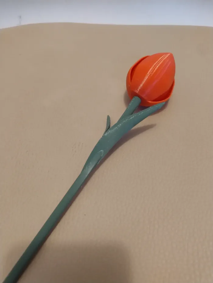 Decorative Tulip - Art - PLA - 3D printed product - фото 4