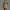 A high-resolution 3D model of Masha's Bear