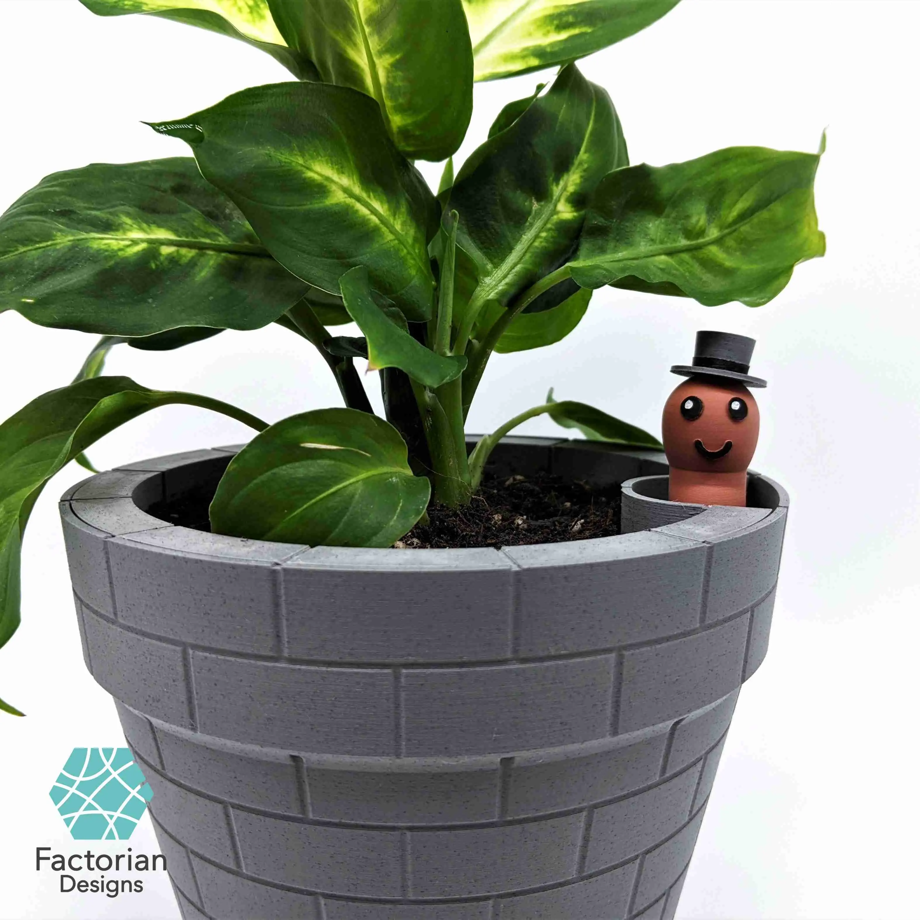 Self-Watering Plant Pot with a Gentleman Earthworm Companion