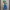 Luigi 