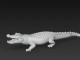 crocodilo-1