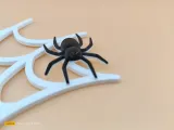 Spider web earring-4