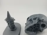 Skull Anatomy-8