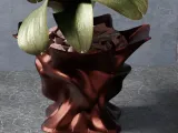Velum Pot-1