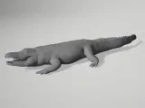 Realistic Animal Aligator crocodile Zoo lizard-0