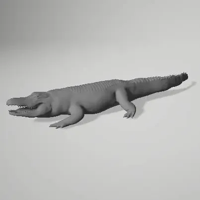 Realistic Animal Aligator crocodile Zoo lizard