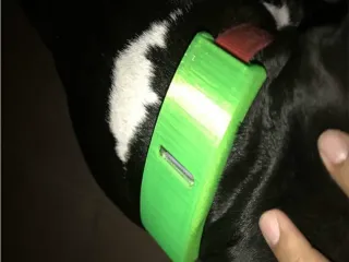 FI dog Collar mount