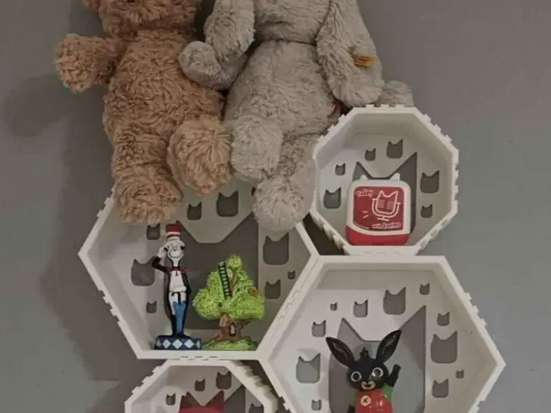 Hexagon Shelf
