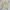 Pokemon Coloring Set Charmander Pikachu Squirtle