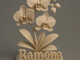 Ramona