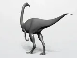 GALLIMIMUS-3